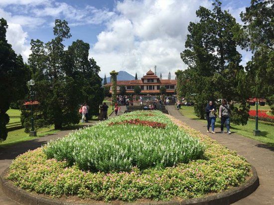 Nusantara Flower Garden
