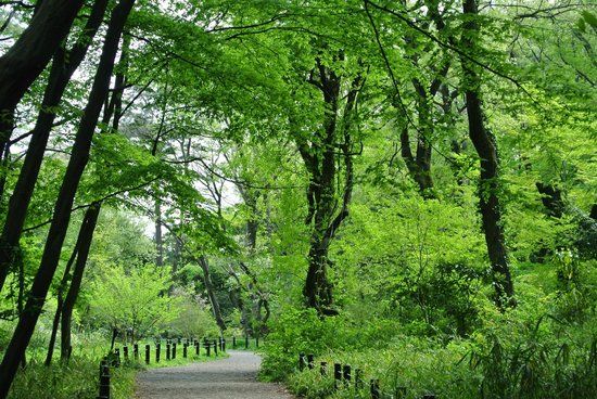 Parque Nacional para o Estudo da Natureza