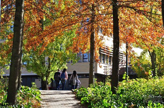 Jardim Botânico da UTAD