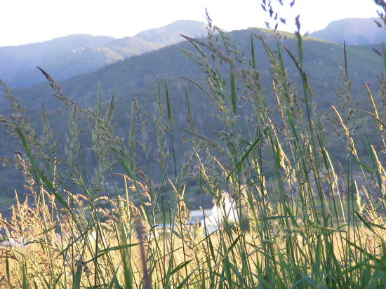Reserva e Centro Ecológico de Swaner