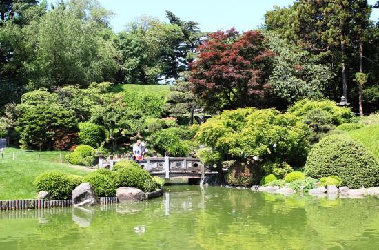 Jardim Botânico de Brooklyn