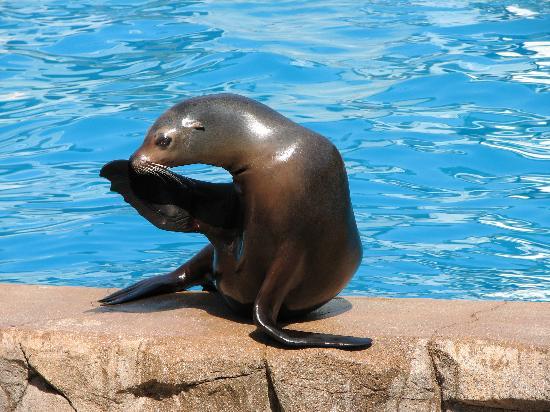 Jardim Zoológico de Milwaukee County