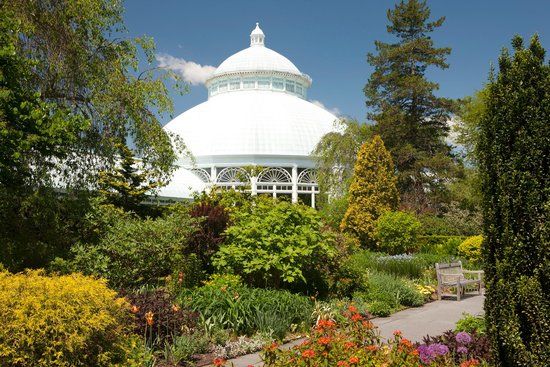 Jardim Botânico de Nova Iorque