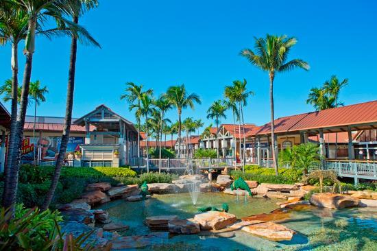 The Falls Shopping Center