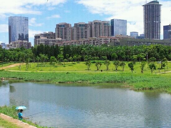 Parque Central de Shenzhen
