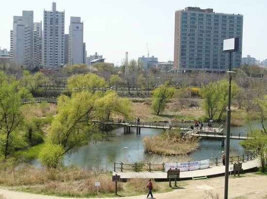 Parque Ecológico de Yeouido Saetgang