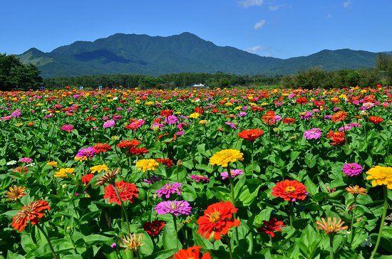 Parque Yamanakakohananomiyako