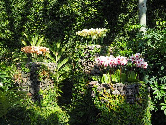 Jardim Botânico de Yeomiji