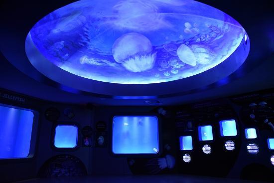 Bangsaen Institute of Marine Science