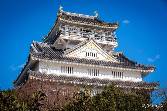 Castelo de Gifu