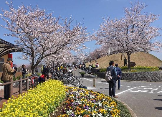 Colina Sakura-no-Yama