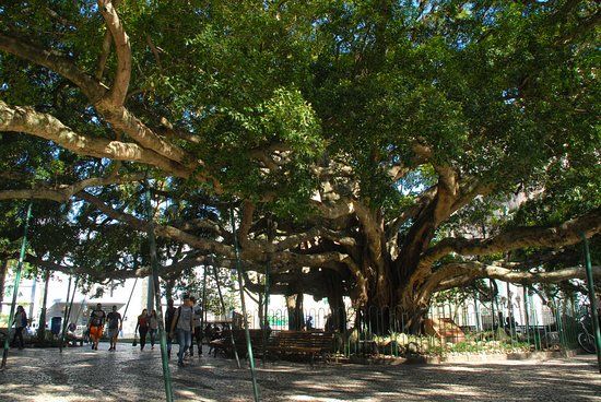 Praça XV de Novembro