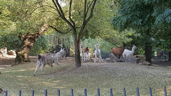 Zoológico de Varsóvia