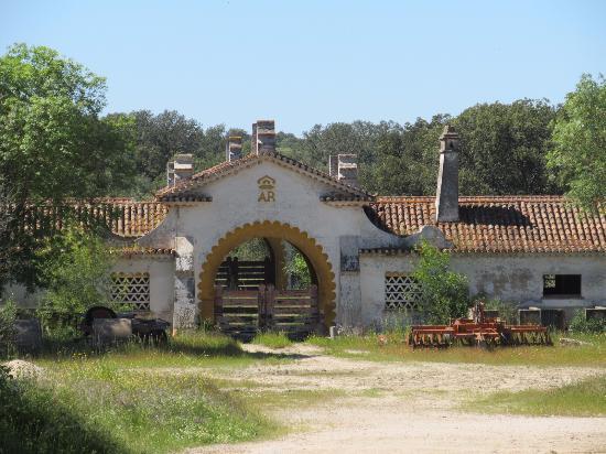 Passeio na Tapada com Falcões