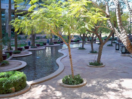 Centro de Ciências do Arizona