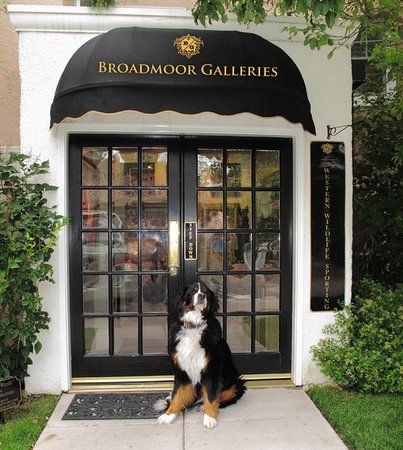Broadmoor Galleries