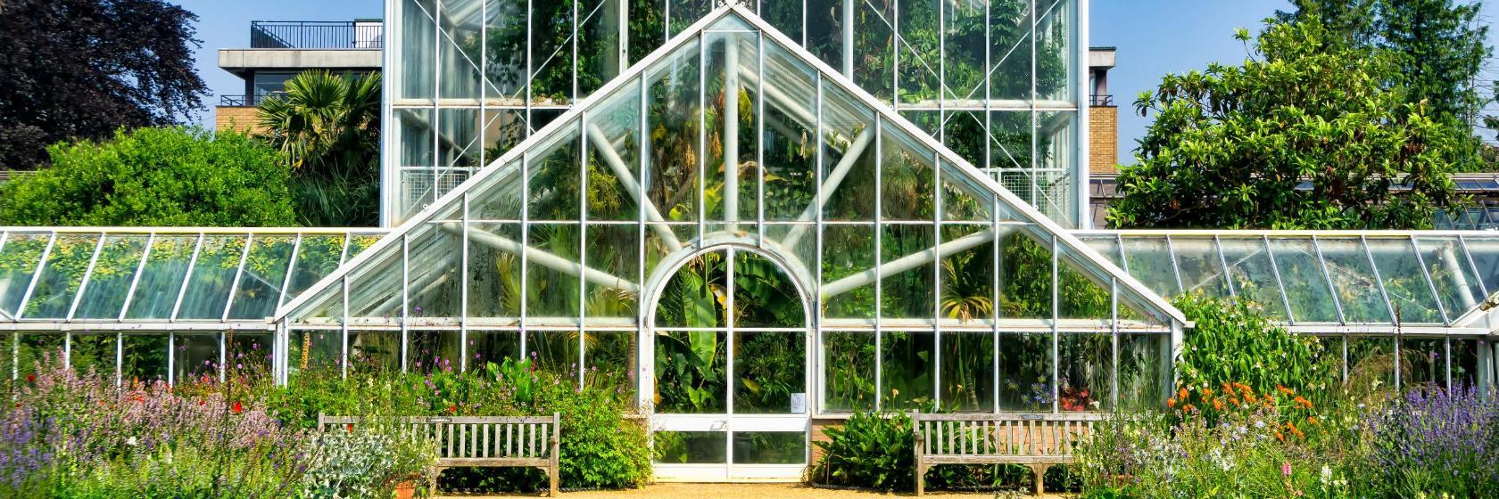 Jardim Botânico da Universidade de Cambridge