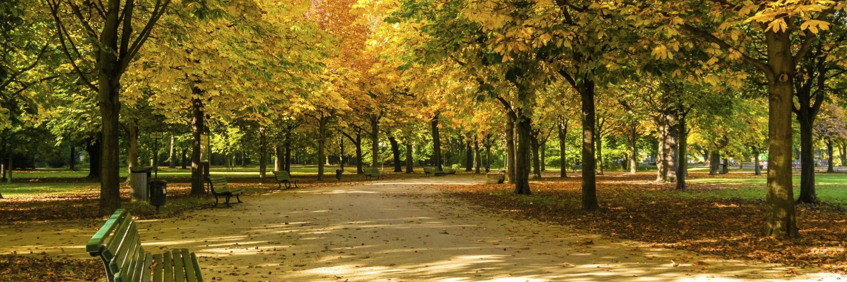 Parque Großer Tiergarten