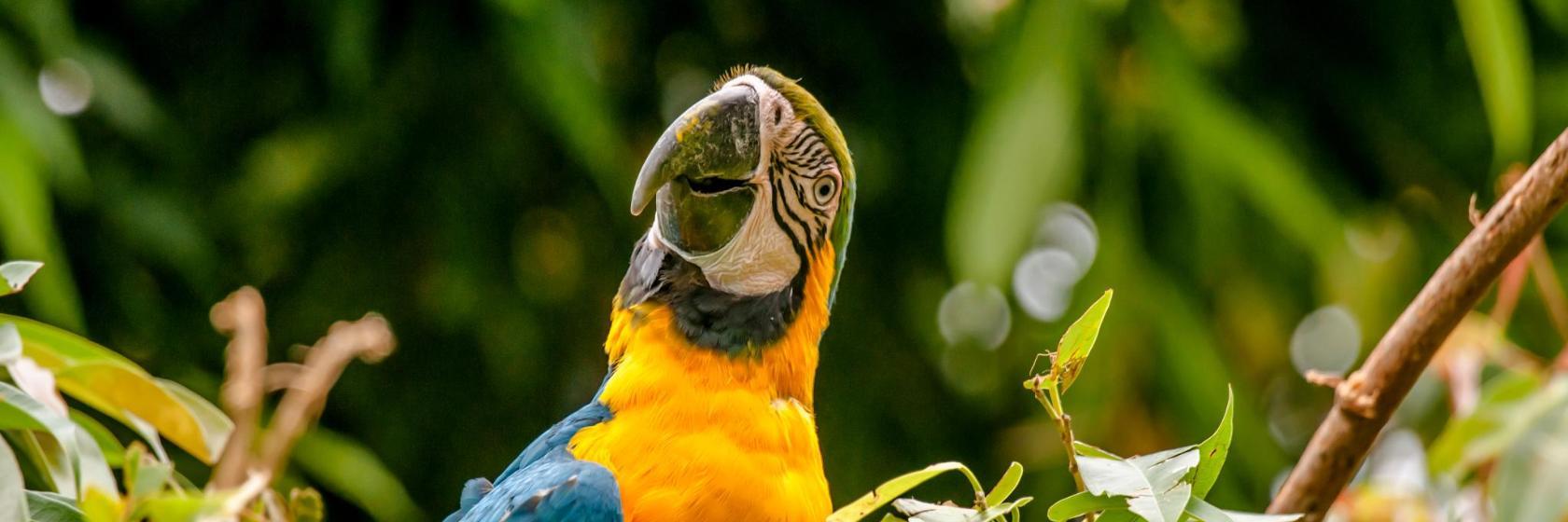 RioZoo Jardim Zoológico do Rio