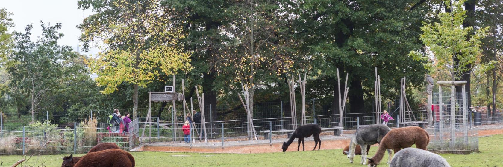 Zoológico de Wilhelma