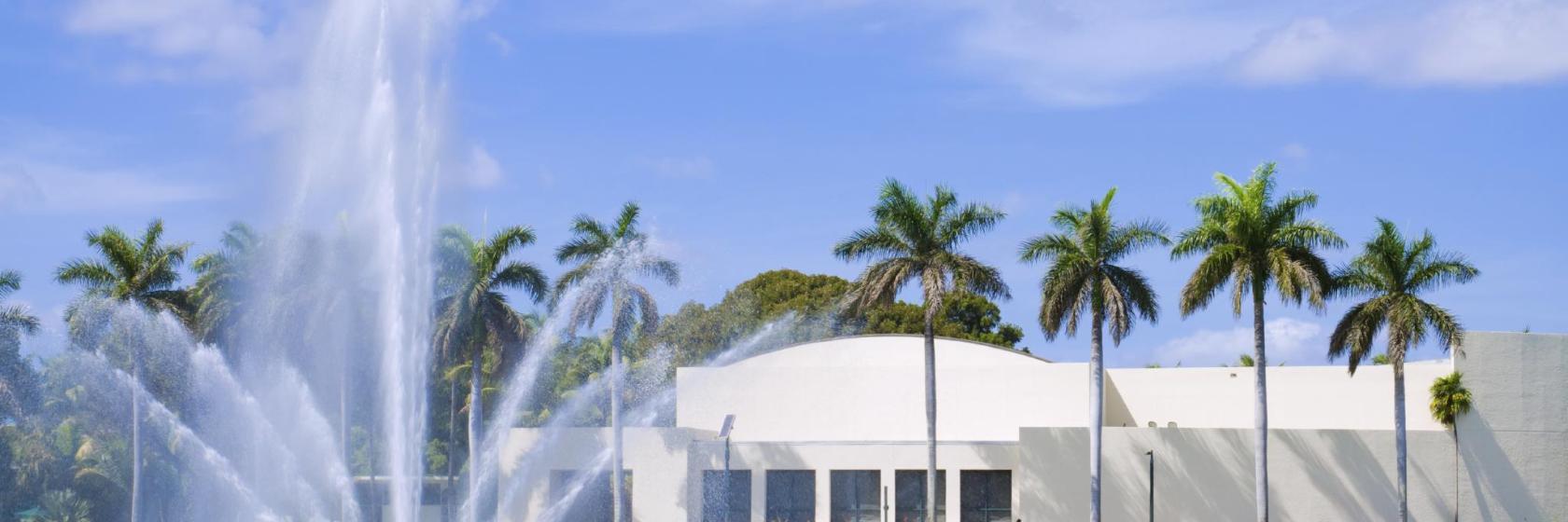 Universidade de Miami