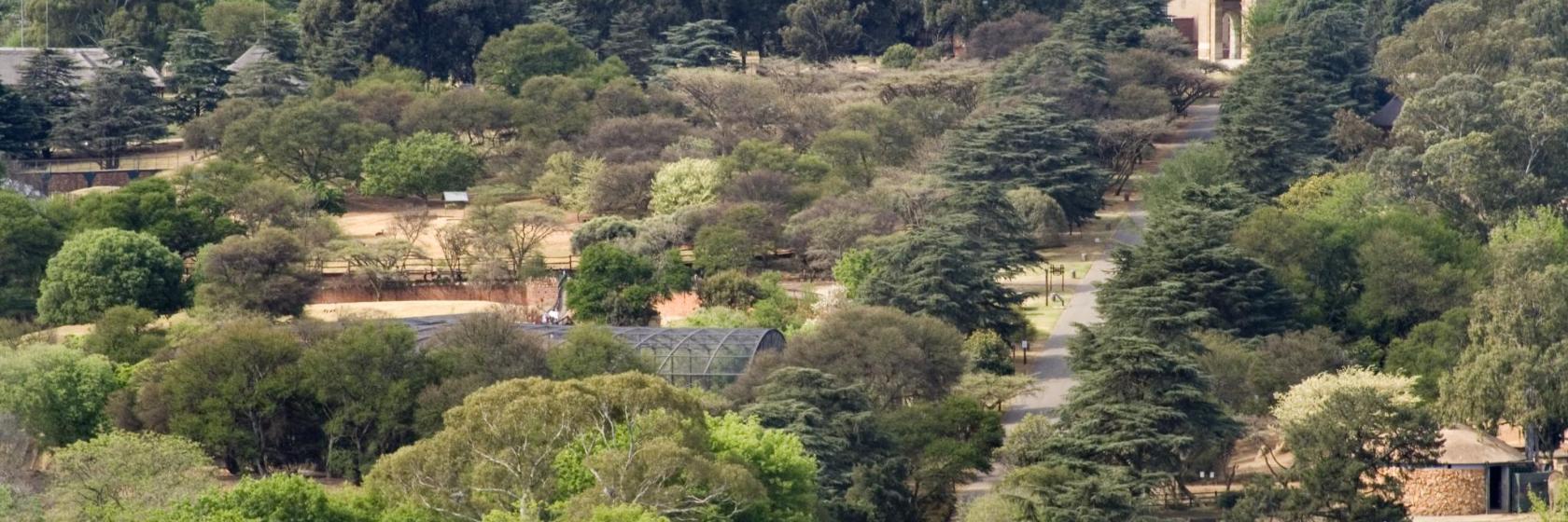 Zoológico de Joanesburgo