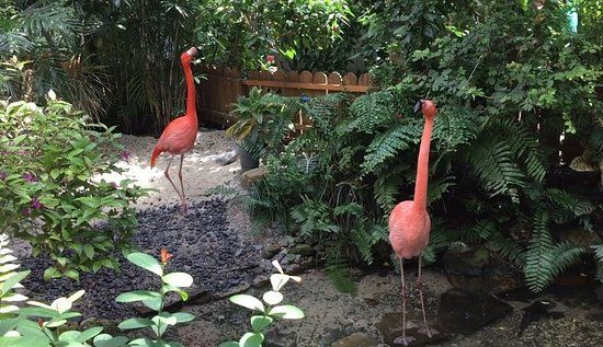 Key West Butterfly & Nature Conservatory