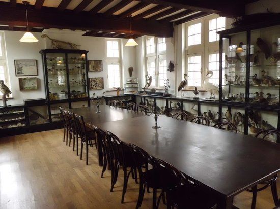 Museu de História Natural