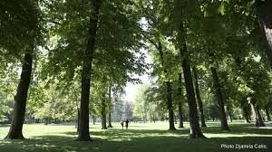 Parc départemental de la Roseraie