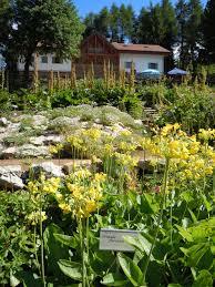 Giardino Botanico Alpino alle Viotte