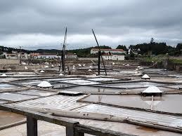 Salinas de Rio Maior
