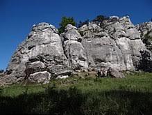 Nature Reserve Gora Zborow