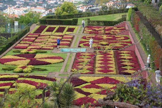 Jardim Botânico da Madeira