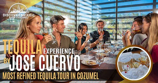 Parque Discover Mexico Cozumel