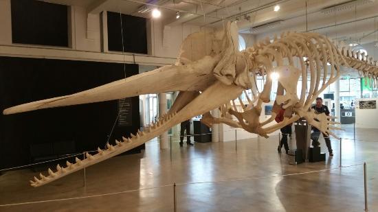 Museu da Natureza de Brabant