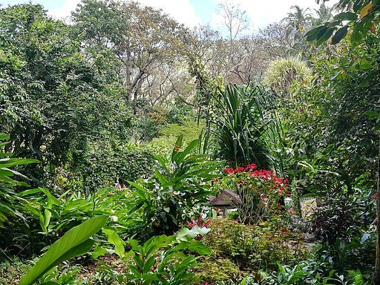 Jardins Botânicos de Soufriere Estate Diamond