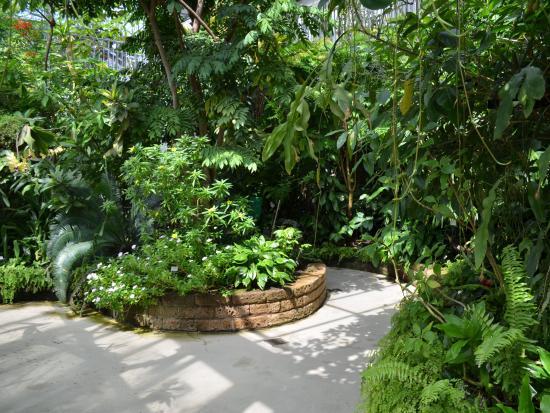 Jardim Botânico de Leipzig