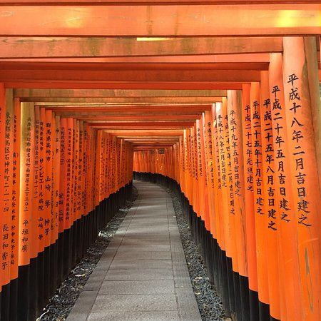Santuário de Fushimi Inari