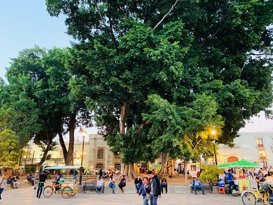 Praça da Constituição