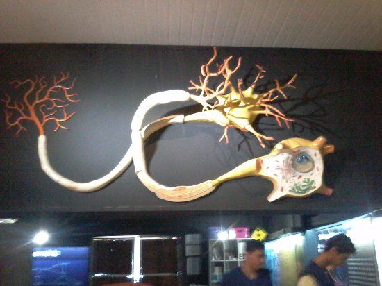 Espaço Ciência Interativa