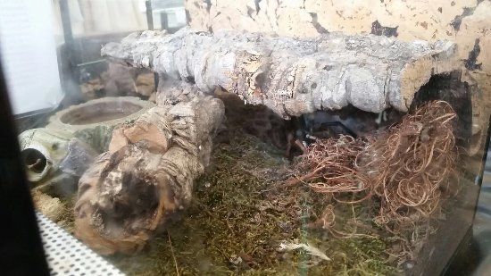 Museu das Crianças e dos Jovens