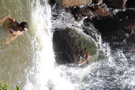 Parque Natural Braço Esquerdo