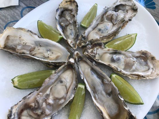 Confraria das Ostras