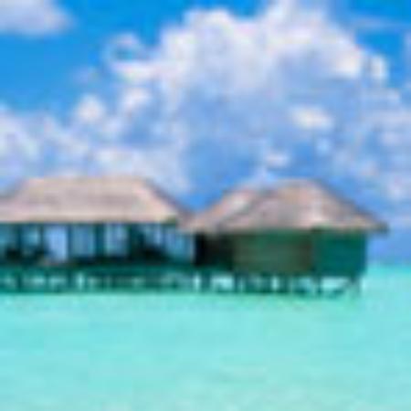 Restaurante Flor do Pequi