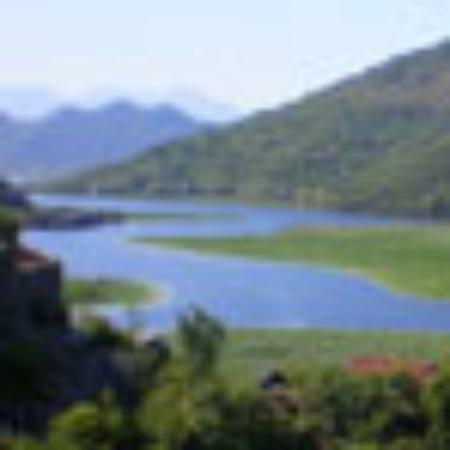 Bom De Boca