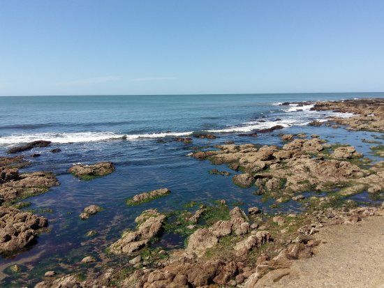 Plazoneta Gra Bretanha