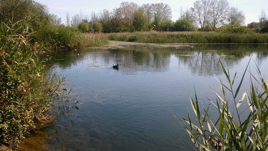 Aula Natura Marjal de Gandia