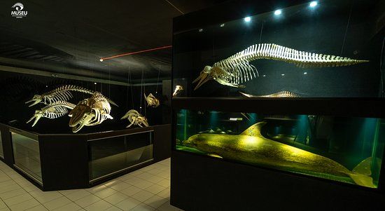 Museu Oceanográfico Univali
