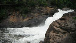 Padaria e Confeitaria Avenida