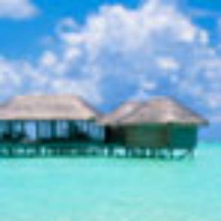 Confeitaria e Lanchonete Rose